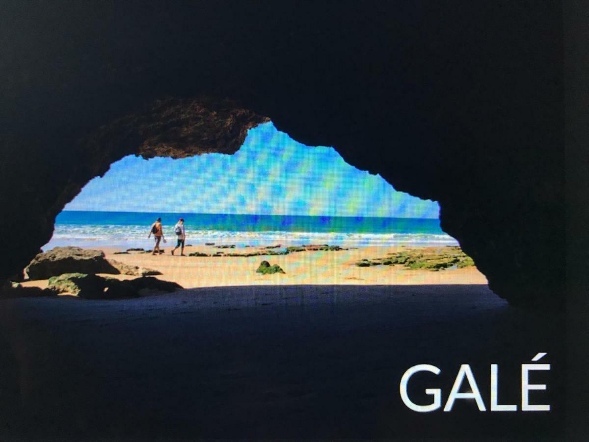 Palmeira Gale Albufeira Esterno foto